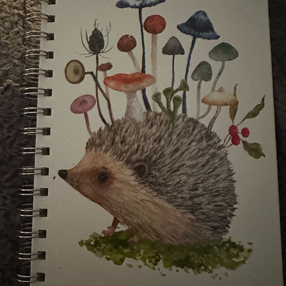 Adorable hedgehog journal.   Brand new